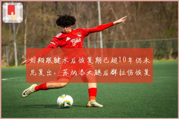 刘翔跟腱术后恢复期已超10年仍未见复出，苏炳添大腿后群拉伤恢复进展顺利