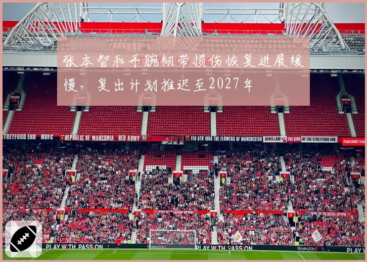 张本智和手腕韧带损伤恢复进展缓慢，复出计划推迟至2027年
