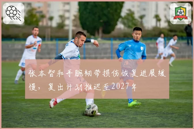张本智和手腕韧带损伤恢复进展缓慢，复出计划推迟至2027年
