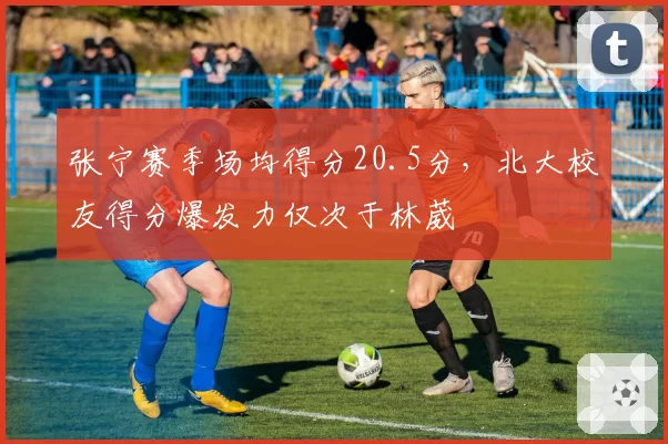 张宁赛季场均得分20.5分，北大校友得分爆发力仅次于林葳