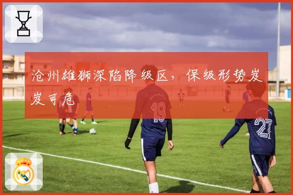 沧州雄狮深陷降级区,保级形势岌岌可危