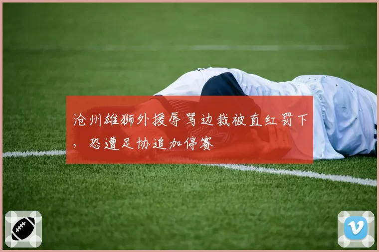 沧州雄狮外援辱骂边裁被直红罚下,恐遭足协追加停赛