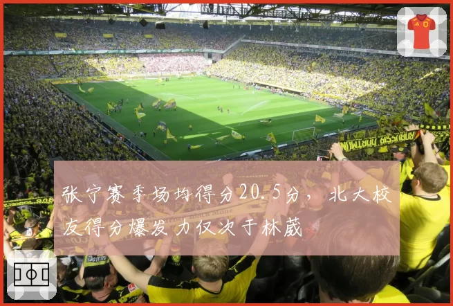 张宁赛季场均得分20.5分，北大校友得分爆发力仅次于林葳