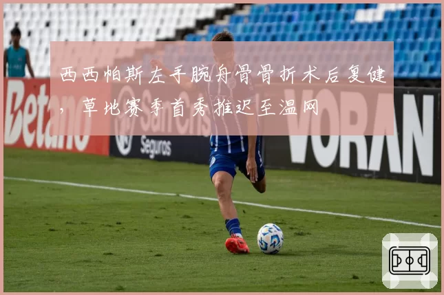西西帕斯左手腕舟骨骨折术后复健，草地赛季首秀推迟至温网