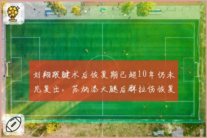 刘翔跟腱术后恢复期已超10年仍未见复出，苏炳添大腿后群拉伤恢复进展顺利