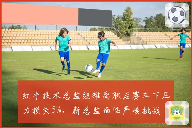 红牛技术总监纽维离职后赛车下压力损失5%,新总监面临严峻挑战